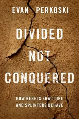 Divided Not Conquered : Comment les rebelles se fracturent et les échardes se comportent - Divided Not Conquered: How Rebels Fracture and Splinters Behave