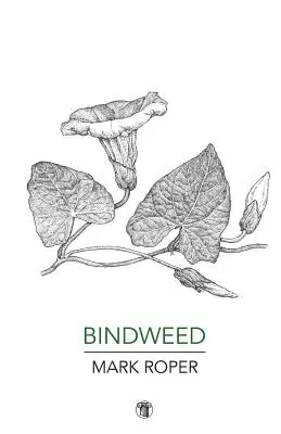 Liseron - Bindweed