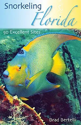 Snorkeling en Floride : 50 excellents sites - Snorkeling Florida: 50 Excellent Sites