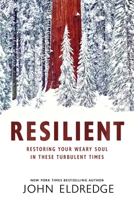 Résilient : La restauration de votre âme fatiguée en ces temps turbulents - Resilient: Restoring Your Weary Soul in These Turbulent Times