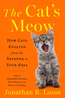 Le miaulement du chat : Comment les chats ont évolué de la savane à votre canapé - The Cat's Meow: How Cats Evolved from the Savanna to Your Sofa