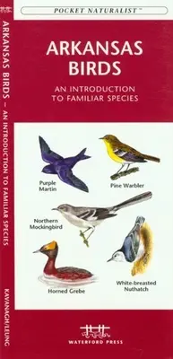 Les oiseaux du Nebraska : Une introduction aux espèces familières - Nebraska Birds: An Introduction to Familiar Species