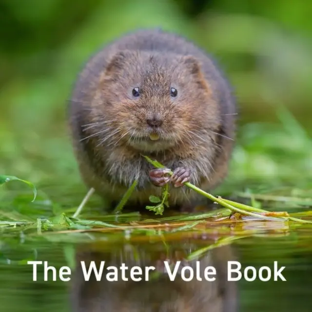 Livre du campagnol aquatique - Water Vole Book