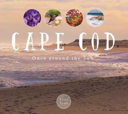 Cape Cod : Une fois autour du soleil - Cape Cod: Once Around the Sun