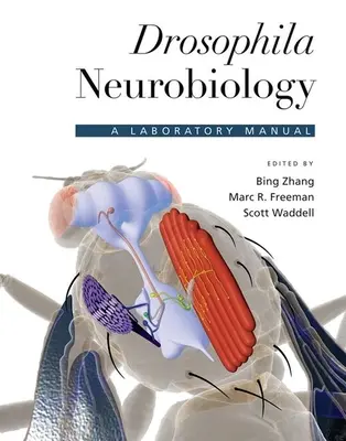 Neurobiologie de la drosophile : Manuel de laboratoire - Drosophila Neurobiology: A Laboratory Manual