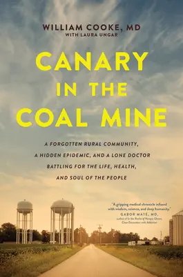 Le canari dans la mine de charbon : Une communauté rurale oubliée, une épidémie cachée et un médecin solitaire qui se bat pour la vie, la santé et l'âme de la population. - Canary in the Coal Mine: A Forgotten Rural Community, a Hidden Epidemic, and a Lone Doctor Battling for the Life, Health, and Soul of the Peopl