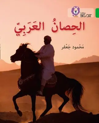 Cheval arabe - Niveau 5 - Arabian Horse - Level 5