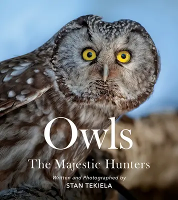 Les hiboux : Les chasseurs majestueux - Owls: The Majestic Hunters