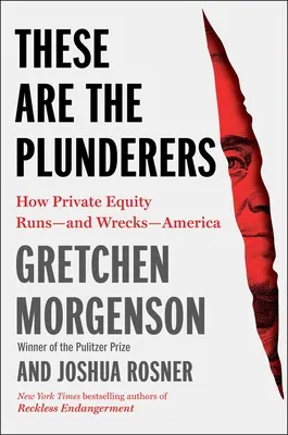 Voici les pilleurs : Comment les fonds d'investissement privés dirigent et détruisent l'Amérique - These Are the Plunderers: How Private Equity Runs--And Wrecks--America