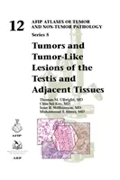 Tumeurs et lésions de type tumoral du testicule et des tissus adjacents - Tumors and Tumor-Like Lesions of the Testis and Adjacent Tissues