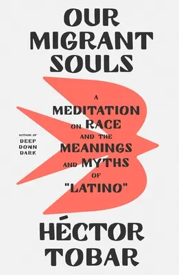 Nos âmes de migrants : Une méditation sur la race, les significations et les mythes latinos« ». - Our Migrant Souls: A Meditation on Race and the Meanings and Myths of Latino