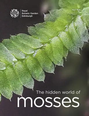 Le monde caché des mousses - The Hidden World of Mosses