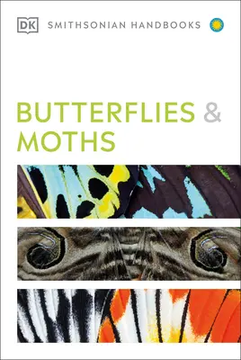 Papillons et papillons de nuit - Butterflies and Moths