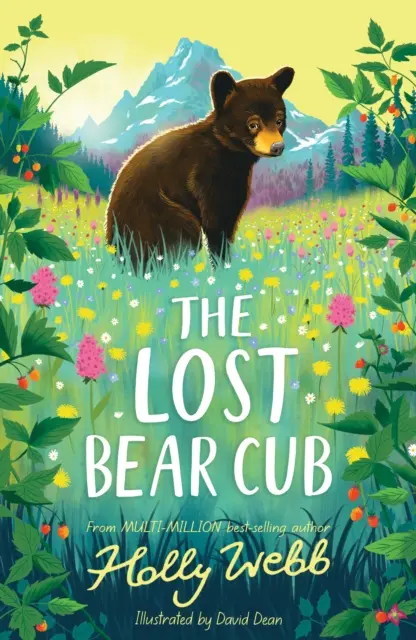 Ourson perdu - Lost Bear Cub