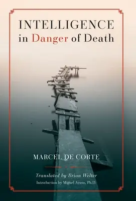 Intelligence en danger de mort (édition anglaise) - Intelligence in Danger of Death (English edition)