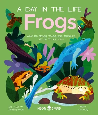 Grenouilles (une journée dans la vie) : Que font les grenouilles, les crapauds et les têtards toute la journée ? - Frogs (a Day in the Life): What Do Frogs, Toads, and Tadpoles Get Up to All Day?