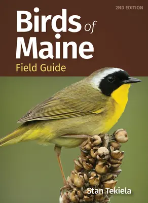 Guide de terrain des oiseaux du Maine - Birds of Maine Field Guide