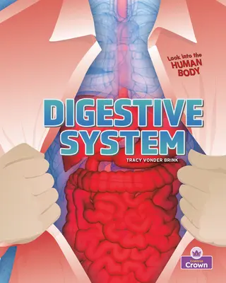 Système digestif - Digestive System