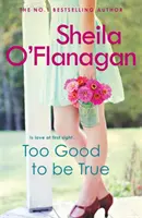 Too Good To Be True (Trop beau pour être vrai) - Un roman d'amour et d'aventure qui fait chaud au cœur. - Too Good To Be True - A feel-good read of romance and adventure