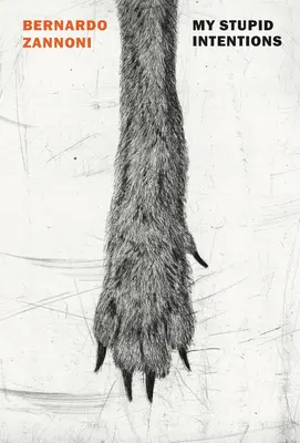 Mes intentions stupides - My Stupid Intentions