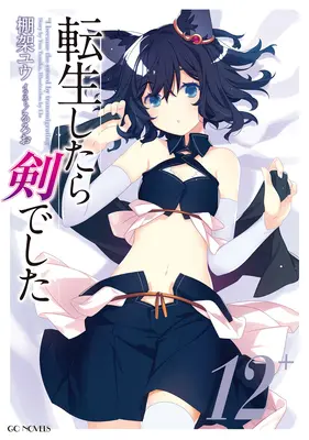 Réincarné en épée (Light Novel) Vol. 12 - Reincarnated as a Sword (Light Novel) Vol. 12