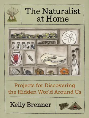 Le naturaliste à la maison : Des projets pour découvrir le monde caché qui nous entoure - The Naturalist at Home: Projects for Discovering the Hidden World Around Us