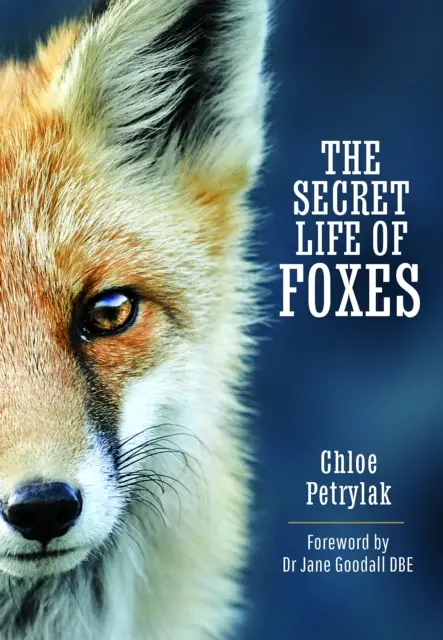 La vie secrète des renards - The Secret Life of Foxes