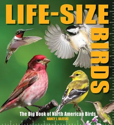 Oiseaux grandeur nature : Le grand livre des oiseaux d'Amérique du Nord - Life-Size Birds: The Big Book of North American Birds