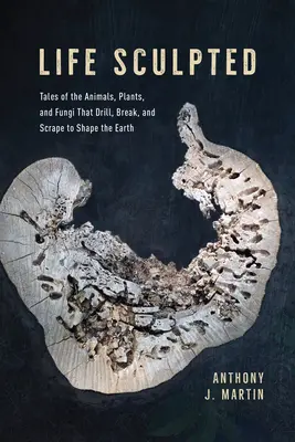 La vie sculptée : Histoires d'animaux, de plantes et de champignons qui forent, cassent et grattent pour façonner la Terre - Life Sculpted: Tales of the Animals, Plants, and Fungi That Drill, Break, and Scrape to Shape the Earth