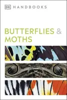 Papillons et papillons de nuit - Butterflies and Moths