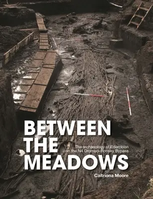 Entre les prés : L'archéologie d'Edercloon sur le contournement de la N4 Dromod-Roosky - Between the Meadows: The Archaeology of Edercloon on the N4 Dromod-Roosky Bypass
