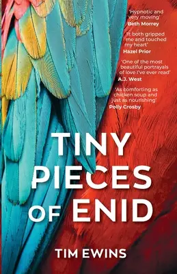 Petits morceaux d'Enid - Tiny Pieces of Enid