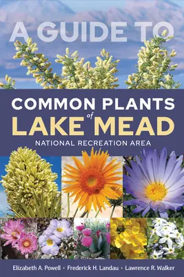 Guide des plantes communes de la zone de loisirs nationale du lac Mead - A Guide to Common Plants of Lake Mead National Recreation Area