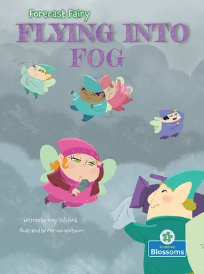 Voler dans le brouillard - Flying Into Fog