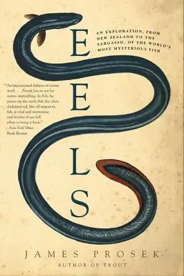 Anguilles : Une exploration, de la Nouvelle-Zélande aux Sargasses, du poisson le plus mystérieux du monde - Eels: An Exploration, from New Zealand to the Sargasso, of the World's Most Mysterious Fish