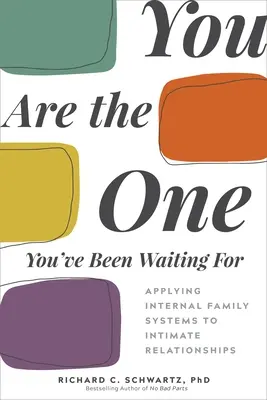 Vous êtes celui que vous attendez : Application des systèmes familiaux internes aux relations intimes - You Are the One You've Been Waiting for: Applying Internal Family Systems to Intimate Relationships