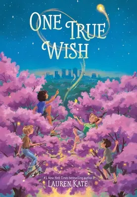 Un vrai souhait - One True Wish