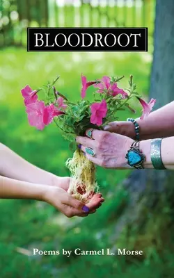 Racine de sang - Bloodroot