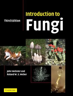 Introduction aux champignons - Introduction to Fungi