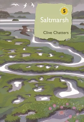 Marais salants - Saltmarsh