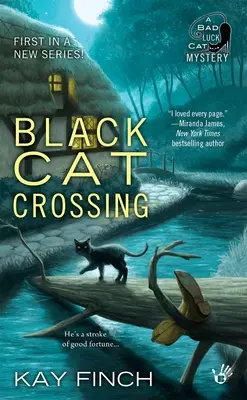 La traversée du chat noir - Black Cat Crossing