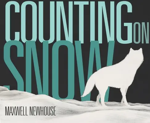 Compter sur la neige - Counting on Snow