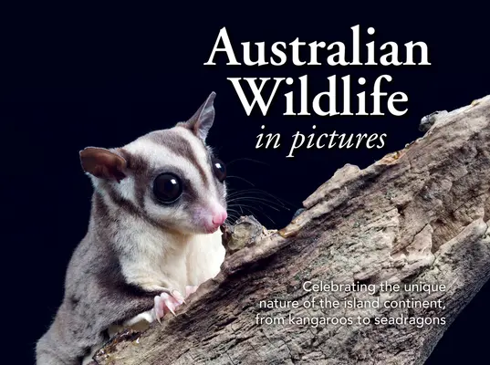 La faune australienne en images : Célébration de la nature unique de l'île-continent, des kangourous aux dragons de mer - Australian Wildlife in Picture: Celebrating the Unique Nature of the Island Continent, from Kangaroos to Sea Dragons