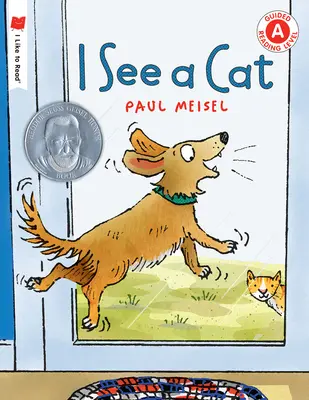 Je vois un chat - I See a Cat