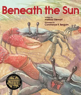 Sous le soleil - Beneath the Sun