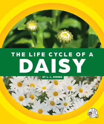 Le cycle de vie d'une marguerite - The Life Cycle of a Daisy