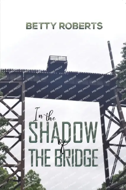 Dans l'ombre du pont - In the Shadow of the Bridge