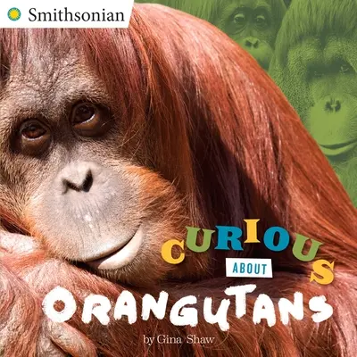 Curieux à propos des orangs-outans - Curious about Orangutans