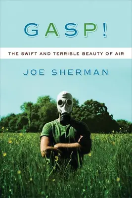 Gasp - La beauté rapide et terrible de l'air - Gasp - The Swift and Terrible Beauty of Air