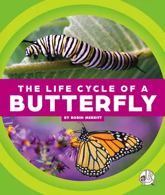 Le cycle de vie d'un papillon - The Life Cycle of a Butterfly